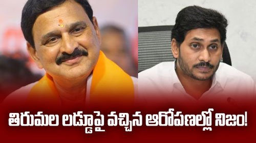 తిరుమల లడ్డూపై వచ్చిన ఆరోపణల్లో నిజం!