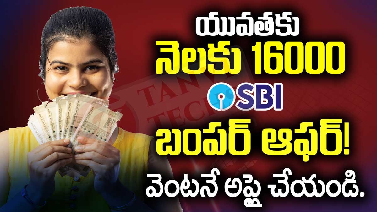 యువతకు నెలకు 16000 SBI బంపర్ ఆఫర్! వెంటనే అప్లై చేయండి.