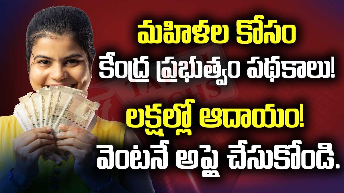 మహిళల కోసం కేంద్ర ప్రభుత్వం పథకాలు! లక్షల్లో ఆదాయం! వెంటనే అప్లై చేసుకోండి.