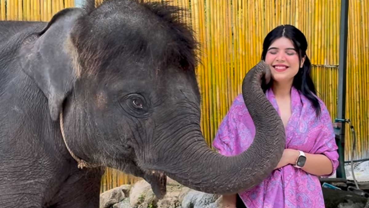 Baby Elephant ఇచ్చిన కిస్ Viral – ఇంటర్నెట్‌లో హార్ట్‌వార్మింగ్ మూమెంట్‌కి భారీ స్పందన!